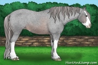 Horse Color:Brown Roan Splash Varnish 