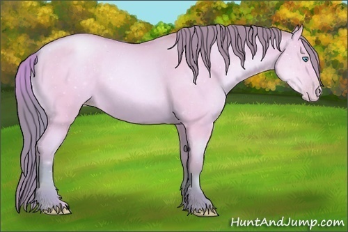Horse Color:Watercolor Buckskin Pearl Dun