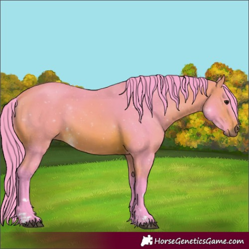 Horse Color:Watercolor Bay 