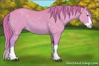 Horse Color:Watercolor Red Dun Splash