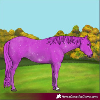 Horse Color:Watercolor Chestnut 
