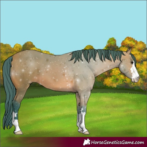 Horse Color:Watercolor Bay 