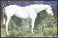 Horse Color:Gray Silver Amber Champagne Roan Splash Tobiano Appaloosa Rabicano 