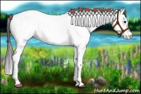 Horse Color:Bay Splash Tobiano Appaloosa 
