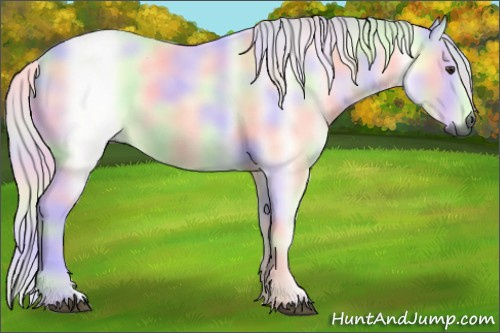 Horse Color:Gray Nacre Red Dun Onyx