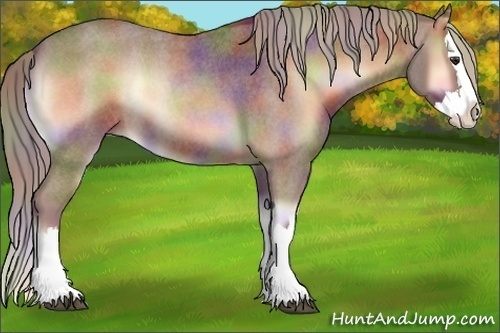 Horse Color:Nacre Red Onyx Roan Splash 