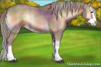 Horse Color:Nacre Red Onyx Roan Splash 