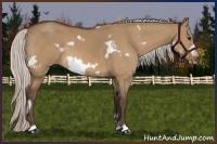 Horse Color:White Spotted Silver Bay Dun Frame