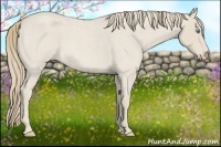 Horse Color:Smoky Creme Roan