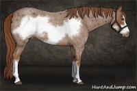 Horse Color:Red Roan Frame 