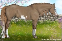 Horse Color:Liver Red Dun Splash Frame 
