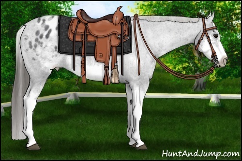 Horse Color:White Spotted Blue Roan Splash Frame Varnish
