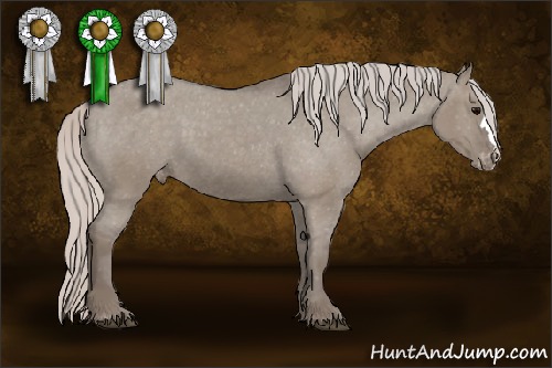 Horse Color:Silver Grullo Varnish 