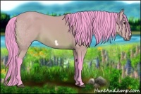 Horse Color:Watercolor Bay Frame