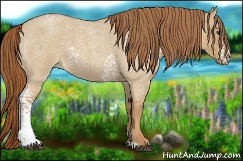 Horse Color:White Spotted Red Dun Roan 