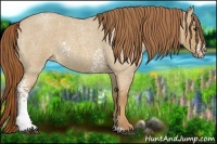 Horse Color:White Spotted Red Dun Roan 