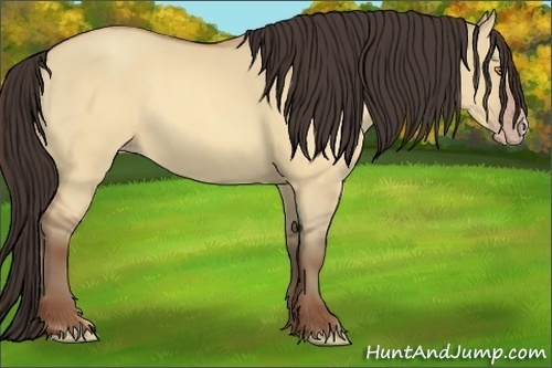 Horse Color:Sable Champagne Dun