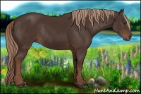 Horse Color:Liver Chestnut Rabicano 