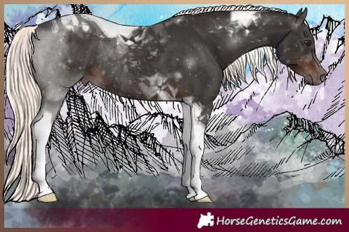 Horse Color:Liver Chestnut Mushroom Tobiano Rabicano