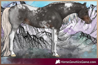 Horse Color:Liver Chestnut Mushroom Tobiano Rabicano