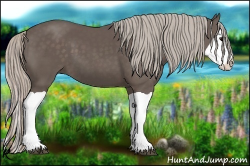 Horse Color:Silver Black Splash 