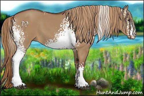 Horse Color:White Spotted Red Dun