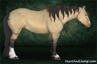 Horse Color:Buckskin Dun Sabino 