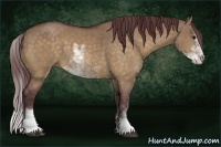 Horse Color:Chocolate Buckskin Dun Sabino