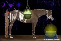 Horse Color:Liver Chestnut Rabicano 