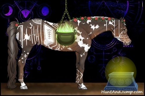 Horse Color:White Spotted Liver Chestnut Rabicano 