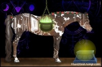 Horse Color:White Spotted Liver Chestnut Rabicano 