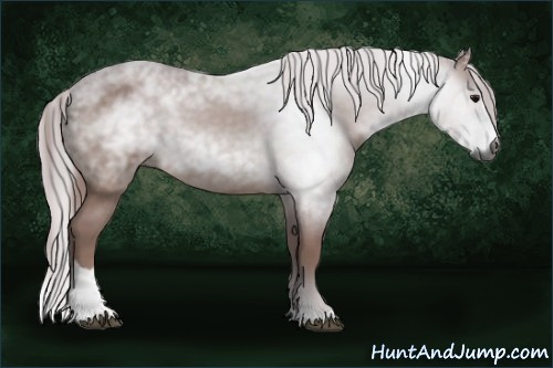 Horse Color:Gray Chocolate Brown Sabino