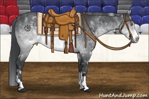 Horse Color:White Spotted Brown Chinchilla Frame 