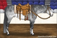 Horse Color:White Spotted Brown Chinchilla Frame 