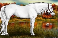 Horse Color:Liver Chestnut Chinchilla 