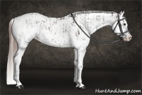 Horse Color:Liver Chestnut Sabino Splash Blanket and Liver Chestnut Sabino Splash Blanket