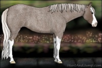 Horse Color:Silver Blue Roan Splash
