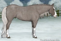 Horse Color:Silver Blue Roan Splash