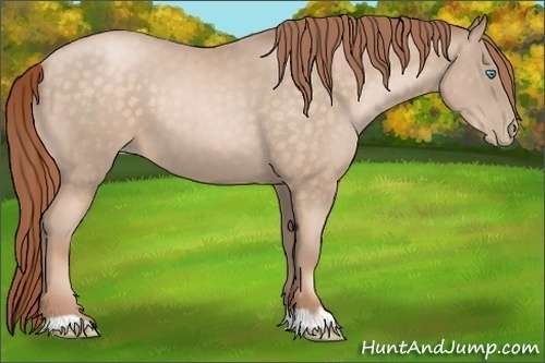 Horse Color:Buckskin Pearl 