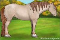 Horse Color:Buckskin Pearl 