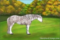 Horse Color:Liver Chestnut Sabino Splash Varnish  and Chocolate Bay Sabino Splash Varnish 