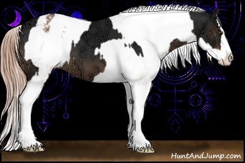 Horse Color:Liver Chestnut Ice Sabino Splash and Gold Champagne Ice Sabino Splash Varnish