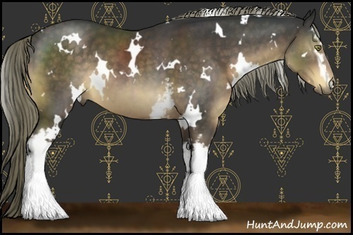 Horse Color:White Spotted Liver Chestnut 