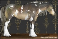 Horse Color:White Spotted Liver Chestnut 