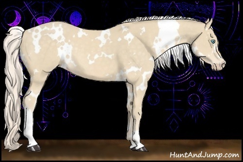 Horse Color:White Spotted Cremello 
