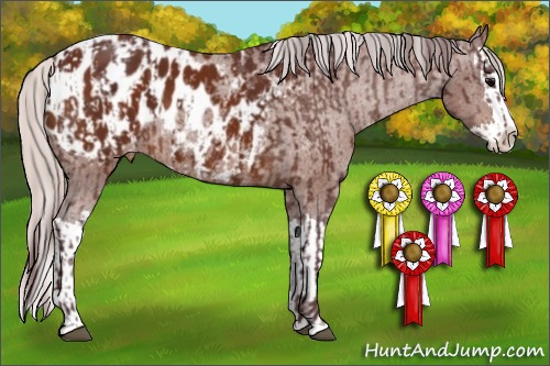 Horse Color:Chocolate Bay Sabino Splash Appaloosa  and Chocolate Silver Bay Sabino Splash Appaloosa 