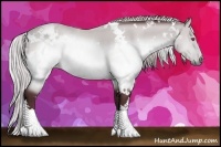 Horse Color:White Spotted Chocolate Silver Brown Chinchilla