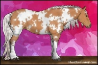 Horse Color:White Spotted Chocolate Silver Bay