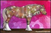 Horse Color:Nacre White Spotted Silver Bay 