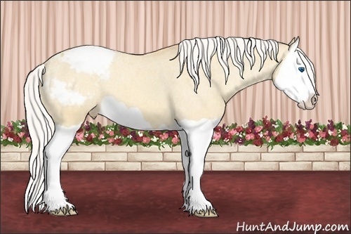 Horse Color:Silver Amber Cream Champagne Dun Splash Varnish